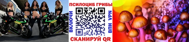 Псилоцибиновые грибы прущие грибы  mega зеркало  Нязепетровск  где можно купить наркотик 